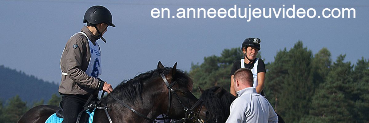 en.anneedujeuvideo.com